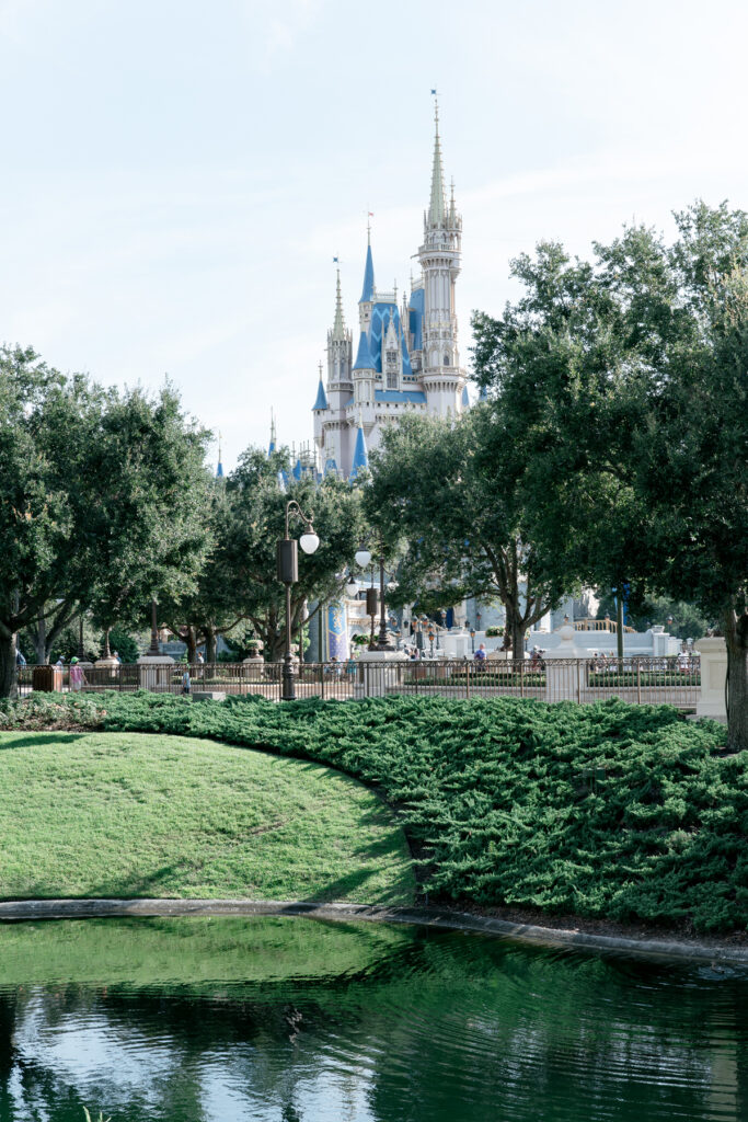 A picture of the castle at Disney World.