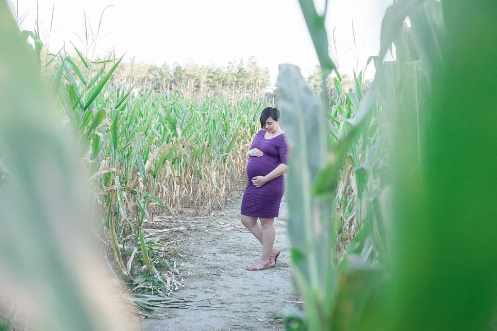 A pregnant mother stands in the Madrac Farms corn maze, a fall tradition near Savannah.