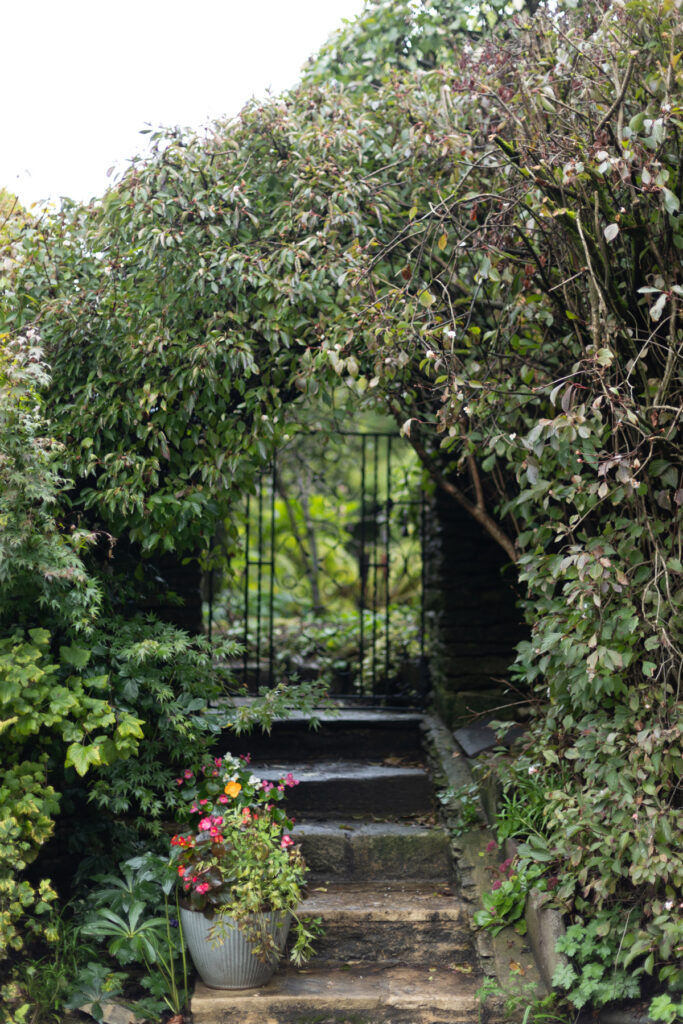 An iron gate surrounded by greenery and ivy.