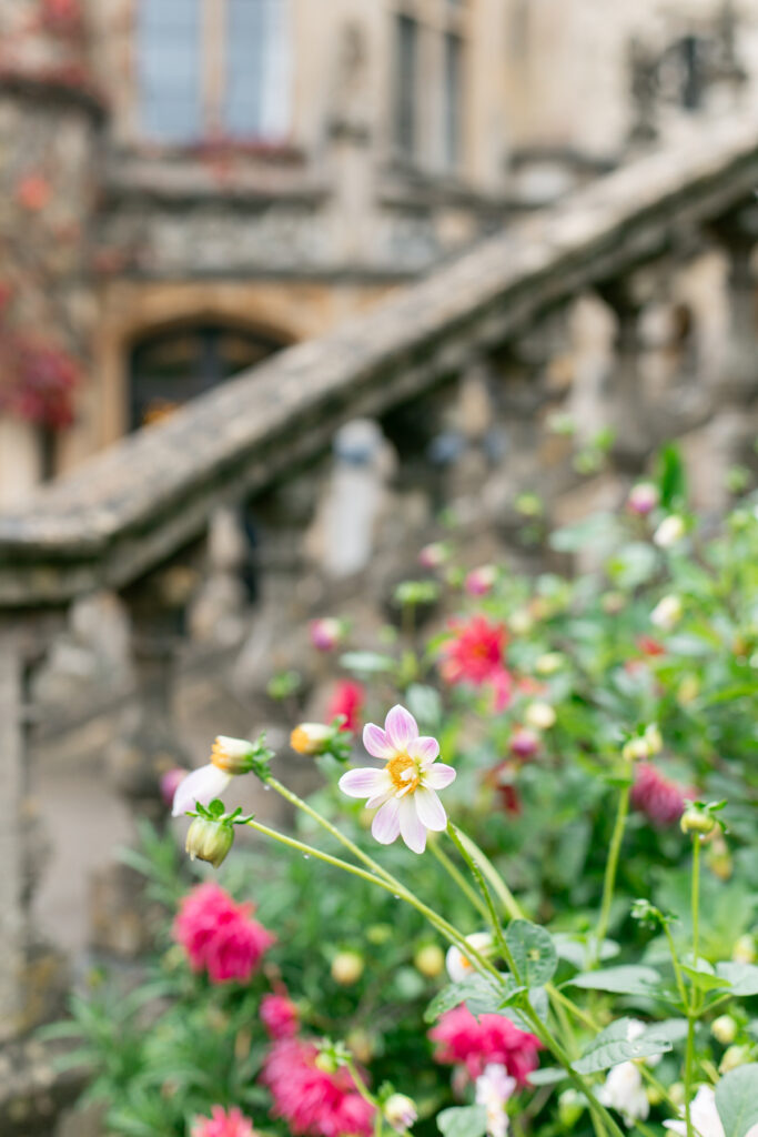 Flowers in front of a concrete stair case in Castle Combe.