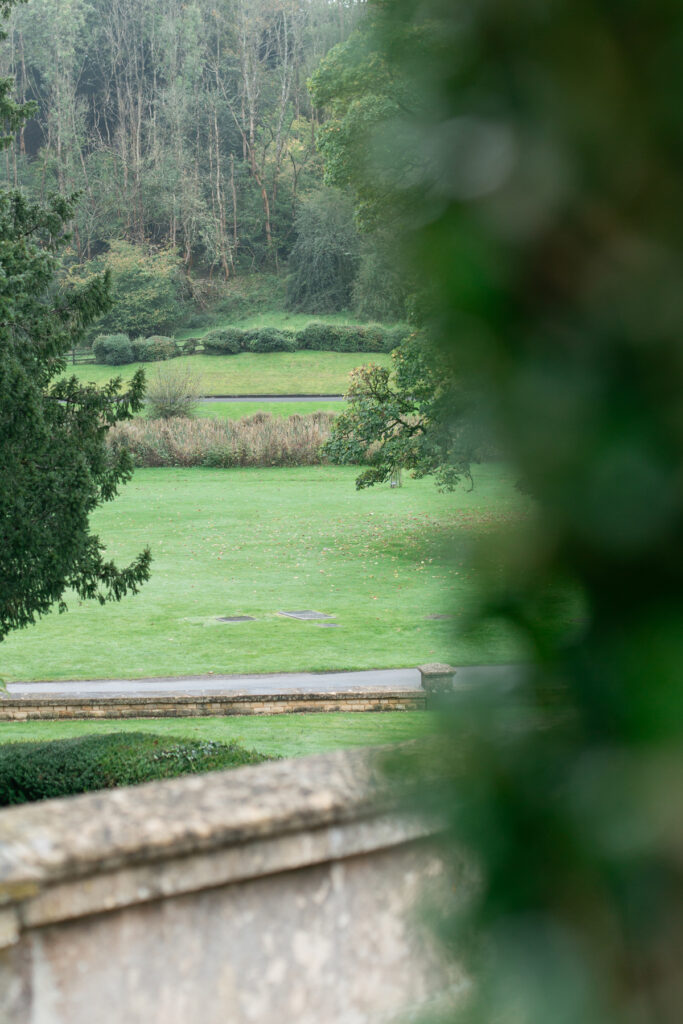 A view of a meadow between two trees