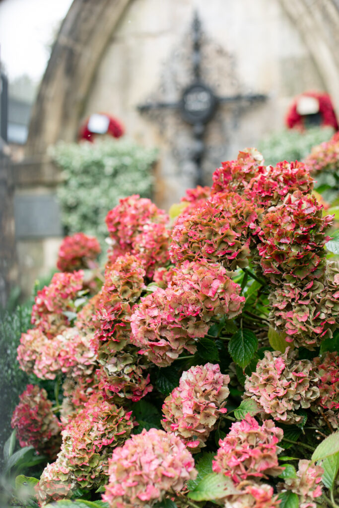 A monument with a cross in the background, hydrangeas in the foreground. 