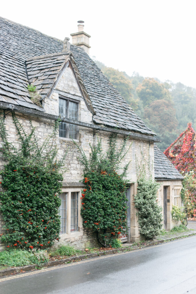 Old building with greenery and flowers