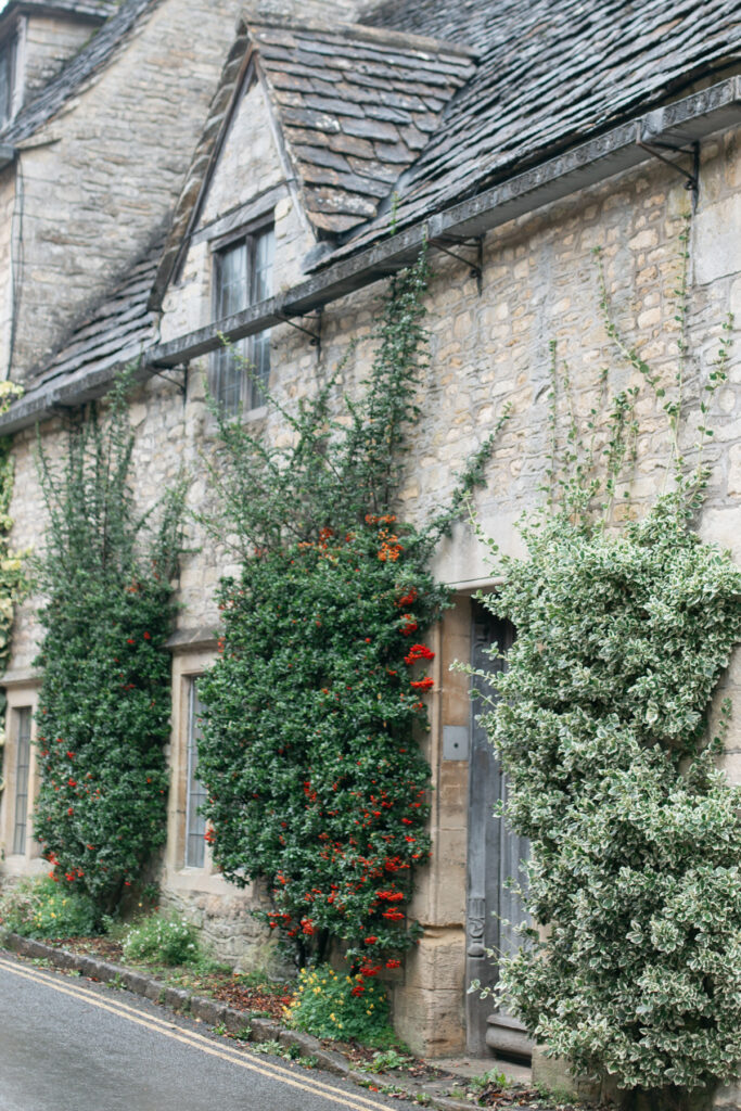 Greenery and flowers on the front of an old building in Castle Combe.