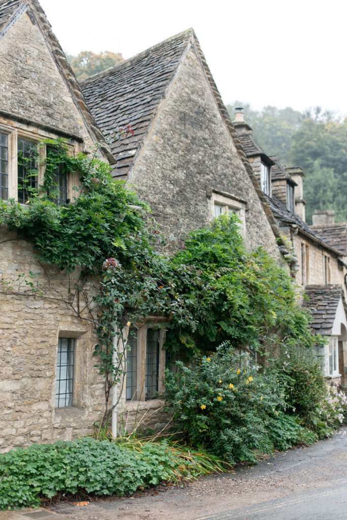 An old building with greenery on it