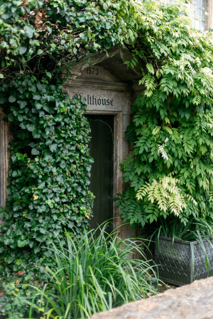 A doorway with ivy and other plants surrounding it. 